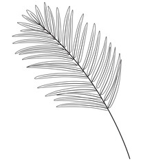 Hand Drawn Flower Outline Illustration