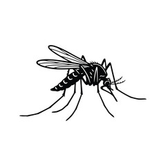 Obraz premium Black silhouette of a mosquito on a white background