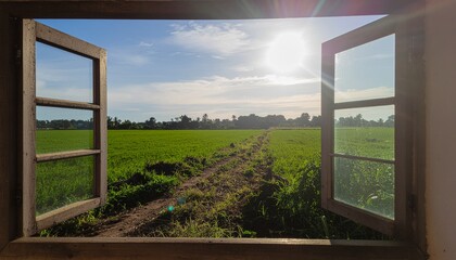 Fototapeta premium Peaceful countryside view through an old wooden window with warm sunlight and rural charm