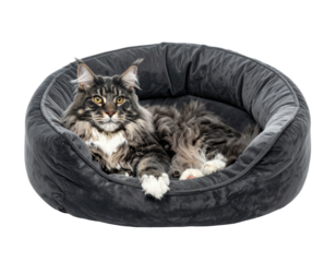 A fluffy cat rests in a soft, grey bed, looking directly at the viewer