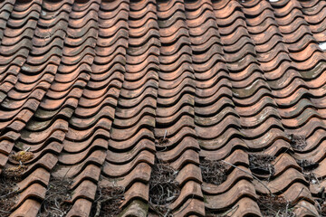 Close up of an old, weathered clay tile roof. Traditional orange roofing texture with moss and dirt. Wavy pattern background.