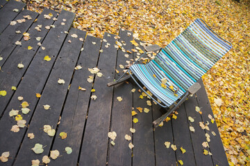 Empty chair on wooden floor with fallen yellow leaves