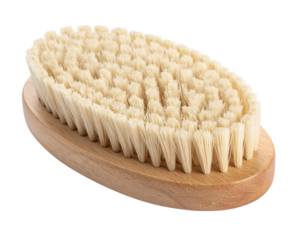 An oval-shaped brush with a wooden base and light-colored bristles, isolated