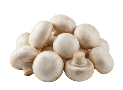Fresh White Champignon Mushrooms Pile with Soft Shadows, Natural Organic Food PNG