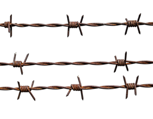 Close-up view of three rusty, weathered strands of sharp barbed wire