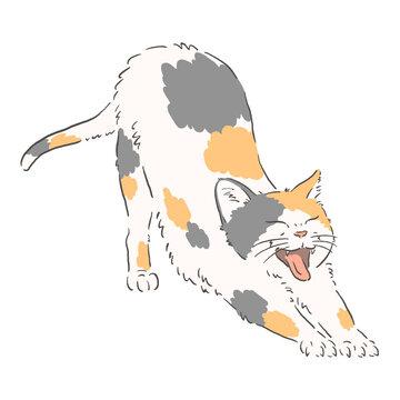 のびをする三毛猫のイラスト