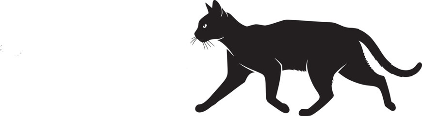 silhouette of a cat walking 
