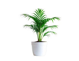 Isolated Beige Sack Of Grain On White Background With Soft Lighting Professional Studio Shot Detailed Realistic Texture