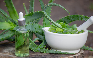 Aloe Vera Serum: Natural green cosmetic product bottle with dropper against the plant.