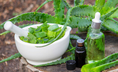 Aloe Vera Home Remedy: Preparation of medicine with leaves in a mortar and essential oil.
