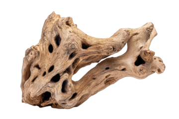 Unique textured piece of aged driftwood with natural holes and crevices.