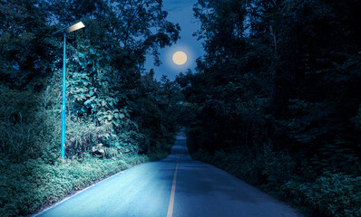 night road in the forest