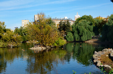 Big lake in Moscow zoo in autumn time, Moscow, Russia
