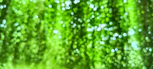 defocused abstract green nature bokeh background with soft light spots and blurred foliage, abstract defocused light texture, green nature bokeh background with sunlight, nature abstract light spots