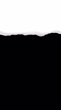 Torn Paper Reveal &ndash; Ripped Edge Alpha Matte Transition Animation 4K