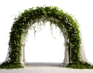  Minimalist Wedding Arch with Ivy – Side Perspective PNG