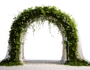  Minimalist Wedding Arch with Ivy – Side Perspective PNG
