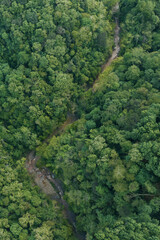 Stunning aerial view of a tropical rainforest showing a winding muddy river cutting through dense green jungle canopy. Beautiful natural wilderness, untouched ecosystem, tropical forest	