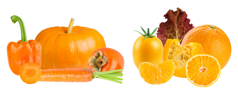 composition of vibrant orange and yellow fruits and vegetables: pumpkin, bell pepper, carrot, persimmon, and citrus slices, isolated on black.
