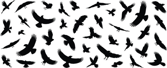 Flying birds silhouette, black bird shapes, vector illustration, avian motion, wildlife pattern, dynamic flight pose, editable graphic, nature theme, isolated white background