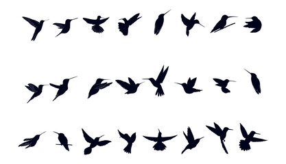Hummingbird Silhouette Collection. Flying and Sitting Hummingbird Vector Set for Design and Decoration