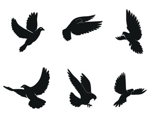 Flying Bird Silhouette Collection. Pigeon Vector Set