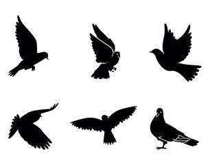 Obraz premium Flying Pigeon Silhouette Set | Bird Vector Illustration