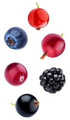 assortment of fresh healthy organic berries including cranberry, blueberry, blackcurrant, and gooseberry, isolated on transparent background.