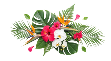 Tropical Floral Arrangement With Bird Of Paradise Hibiscus And Orchids Isolated On Transparent Background