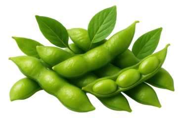 A shallow white dish holding a handful of fresh blackcurrants, their glossy skin reflecting the light.