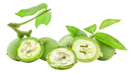 group of fresh green walnuts, some whole and others cut in half to show the pale internal nut structure, displayed with stem and leaves isolated on black.