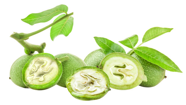 group of fresh green walnuts, some whole and others cut in half to show the pale internal nut structure, displayed with stem and leaves isolated on black. - Powered by Adobe