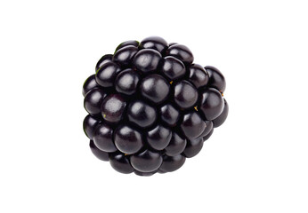 Ripe blackberry fruit, plump juicy dark purple berry with glossy spherical drupelets, isolated on a transparent background
