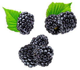 photograph featuring a lush cluster of ripe, glossy black blackberries interspersed with bright green leaves, creating a vibrant contrast isolated on black.