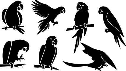 Black parrot silhouette vector graphic design illustration set for creative projects and designs exactly vector silhouette set, silhouette illustration.