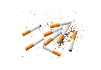 Broken cigarettes with scattered tobacco pieces, white filters and orange tips visible throughout scene, isolated on a transparent background