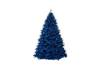 Blue spruce Christmas tree illuminated with twinkling white lights against plain backdrop, isolated on a transparent background