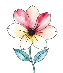 watercolor flower illustration