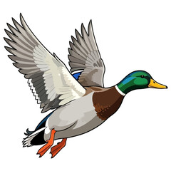 Obraz premium mallard duck hunting illustration logo vector image t shirt