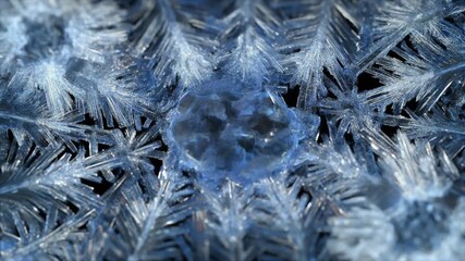 A macro view of intricate blue and white ice crystals forming delicate, feathery frost patterns. - Powered by Adobe