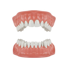 Detailed illustration of human adult teeth arrangement, showing dental anatomy, tooth types, and oral structure for medical and educational use.