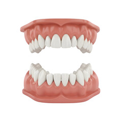Obraz premium Detailed illustration of human adult teeth arrangement, showing dental anatomy, tooth types, and oral structure for medical and educational use.