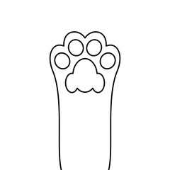Pet Cat Paw