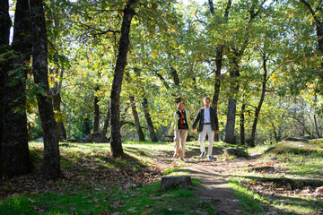 Obraz premium Couple walking hand in hand through autumn forest path