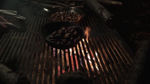 Pan with roasted chestnuts on fire, resting on a barbecue grill, in the woods, at night. Sweet chestnut (Castanea sativa). A hand moves the pan to turn the chestnuts