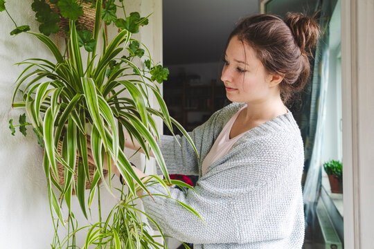 Teenage girl taking care of potted plant hanging on wall on balcony