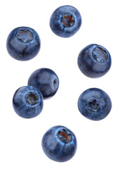 dynamic composition of eight individual ripe dark blue blueberries seemingly floating or scattered randomly, photographed against a solid transparent background.