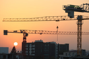Tower cranes silhouetted at sunset