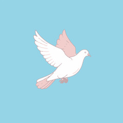 Obraz premium pigeon flaying bird white