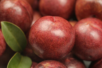 Fresh Red Plums with Leaves - Premium Fruit Photography for Food and Agriculture Marketing
